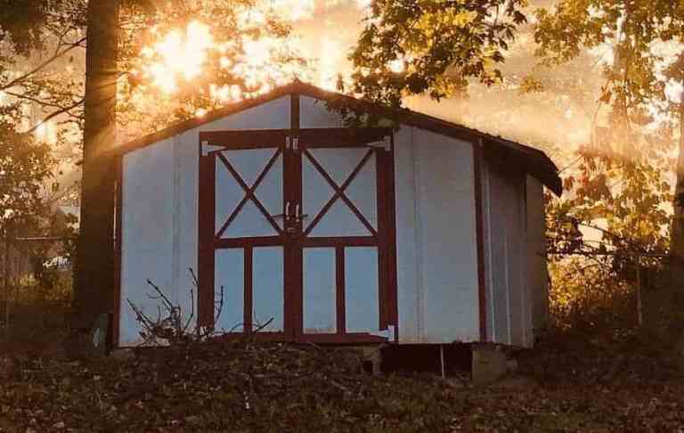 Stop Your Shed From Rotting Before It Starts (Or After)