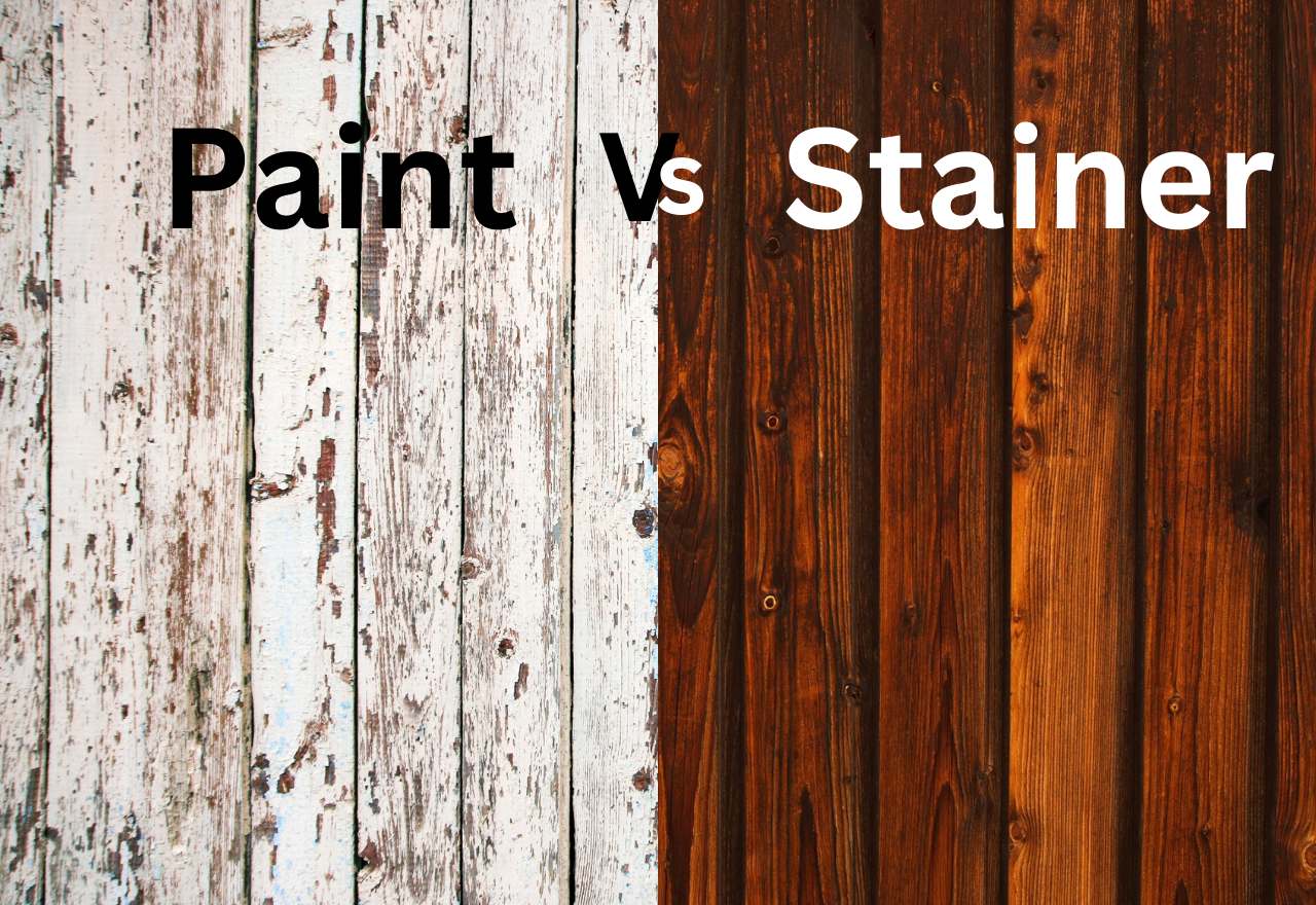 Stain Or Paint Your Shed? Combination Of Beauty and Utility