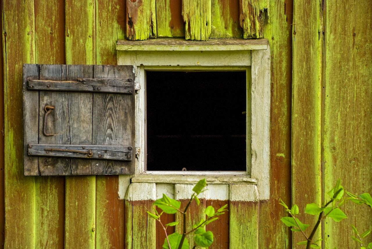 When A Shed Has To Have A Window