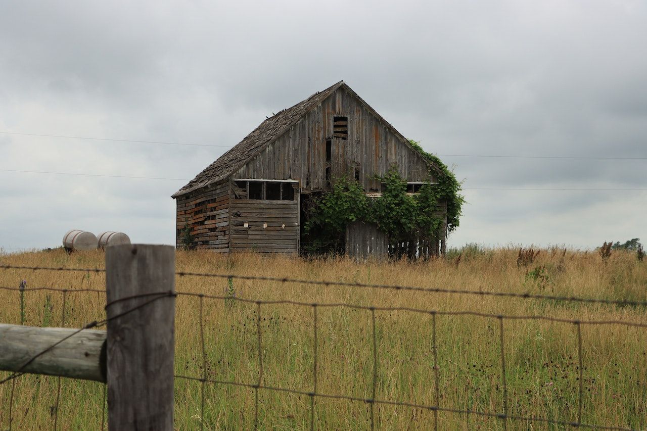 When Has Your Shed Finally Given Up The Ghost?