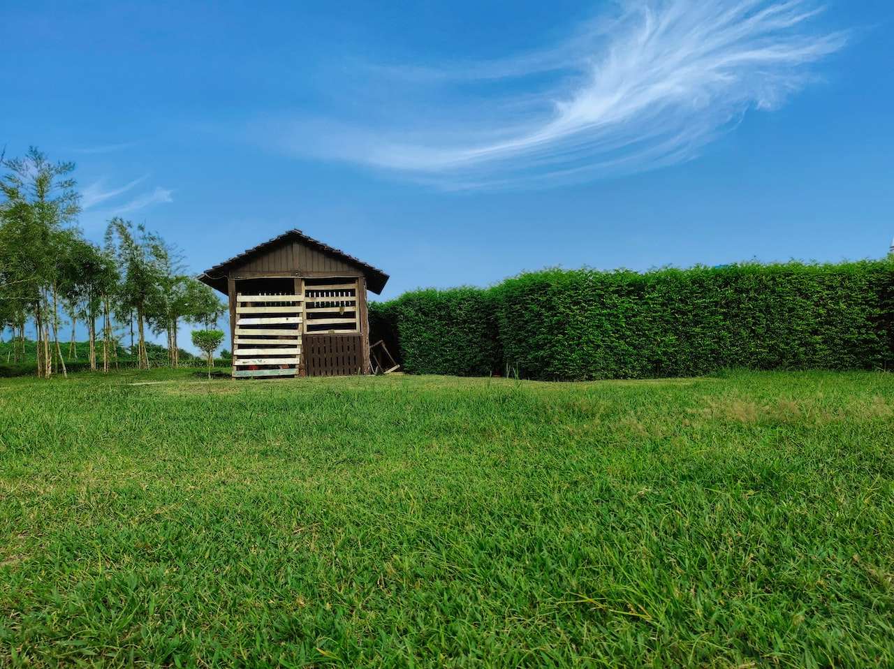 Can You Build a Shed on Grass?