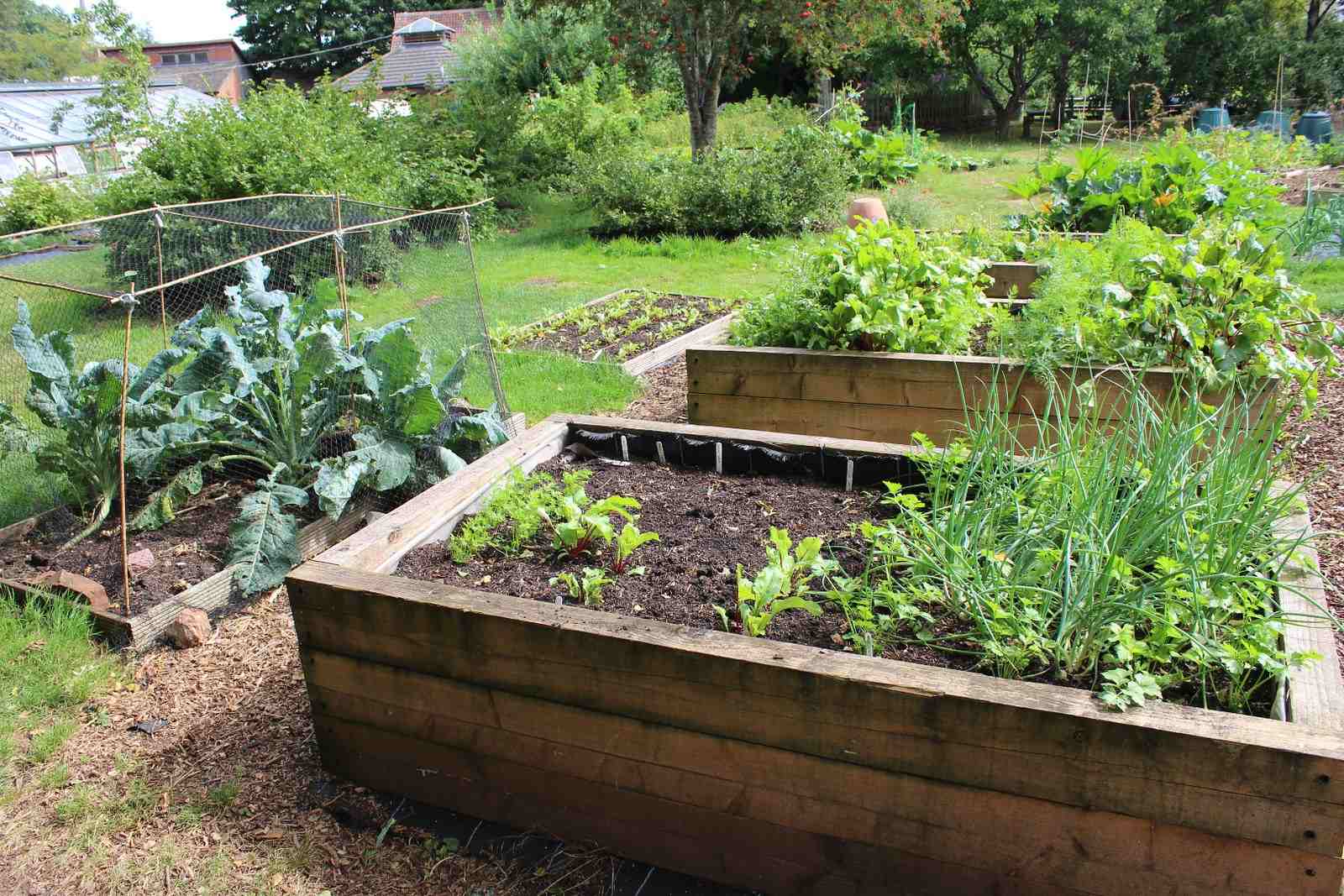 How To Prevent Frost Heave In Raised Beds